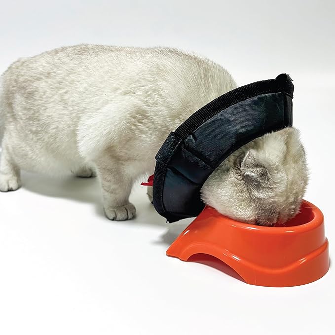 Cat Cone Collar - Soft Adjustable Cat Elizabethan Healing Collar – Lightweight Wound‑Protection Neck Cone for Licking/Biting Prevention, Fits Neck 6.5″–10.5″, Ideal Post‑Surgery & Injury Care-PawvioPets