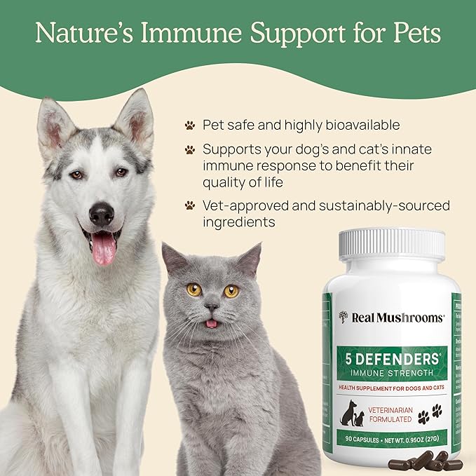 5 Defenders Mushroom Supplement for Cats & Dogs – Chaga, Shiitake, Reishi, Turkey Tail, Maitake – Cat Multivitamin & Dog Supplement for Wellness Support– 90 ct Real Mushrooms Powder Capsules-PawvioPets