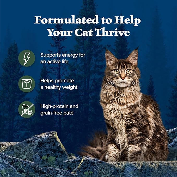 Blue Buffalo Wilderness Natural High-Protein Grain-Free Wet Food for Adult Cats, Duck Paté, 3-oz. Cans, 24 Count-PawvioPets