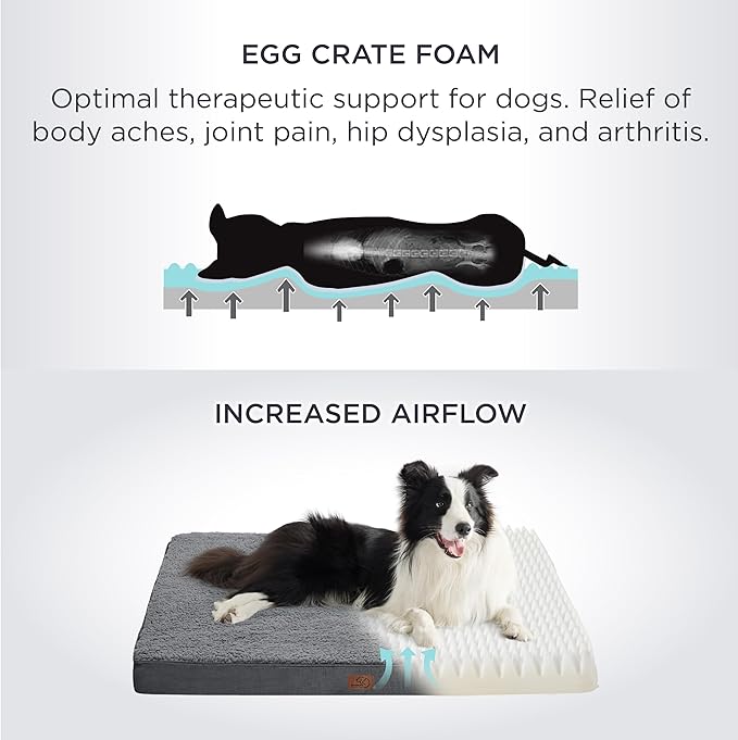 Bedsure Dog Beds Large Sized Dog - Orthopedic Flat Pet Beds with Removable Washable Cover, Egg Crate Foam Puppy Mat, Suitable for Pet Up to 65 lbs-PawvioPets