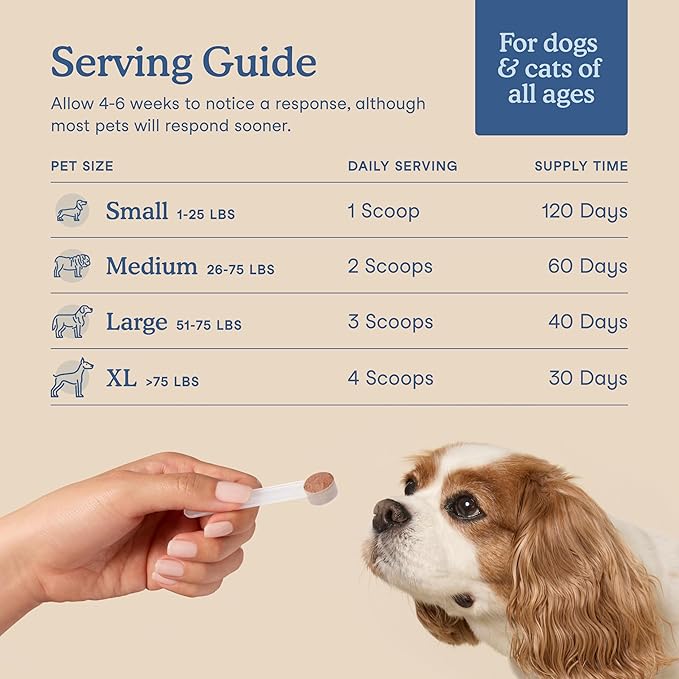 Fera Pets Postbiotics Plus Prebiotics for Dogs & Cats - with Slippery Elm - Promotes Optimal Digestive Health & Inflammatory Response - Enhances Immunity - 120 Scoops-PawvioPets