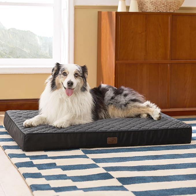 Bedsure Orthopedic Dog Bed for Extra Large Dogs and Crate - Thick Memory Foam Pet Mattress with Removable Washable Cover and Egg Crate Foam, Suitable for Pet Up to 100 lbs, XL 41x29x4 Inches, Black-PawvioPets