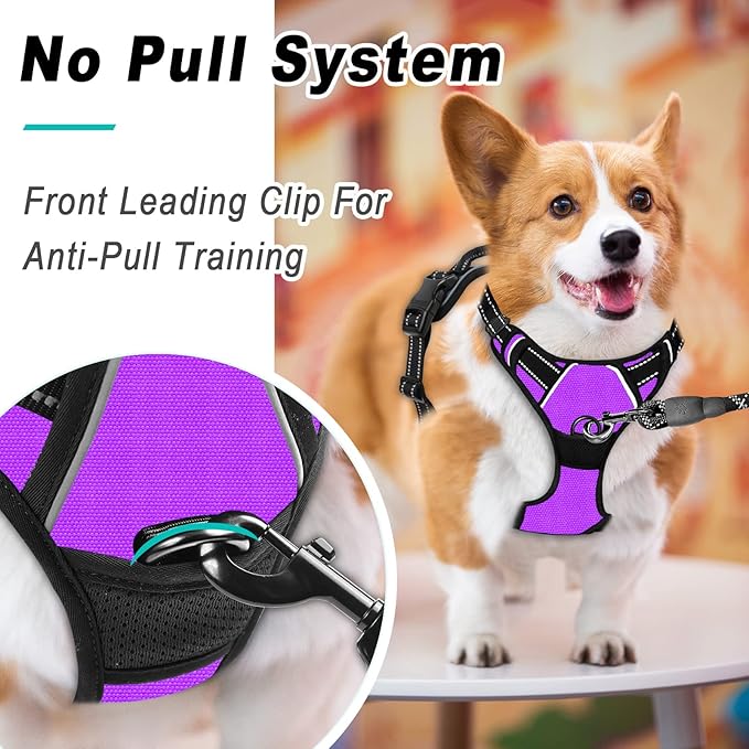 BARKBAY No Pull Dog Harness Large Step in Reflective Dog Harness with Front Clip and Easy Control Handle for Walking Training Running(Purple,L)-PawvioPets