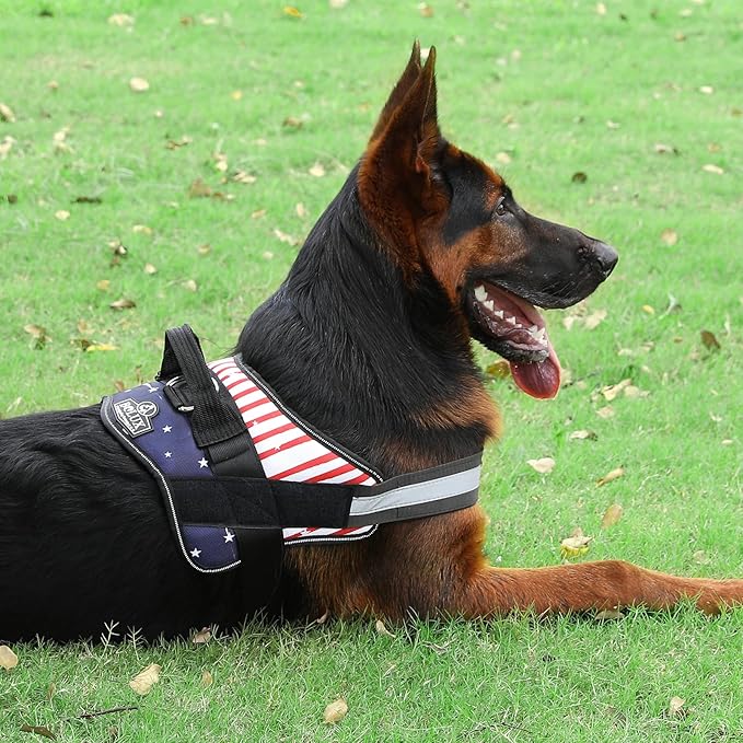 Bolux Dog Harness, No-Pull Reflective Dog Vest, Breathable Adjustable Pet Harness with Handle for Outdoor Walking - No More Pulling, Tugging or Choking (Flag, Small)-PawvioPets