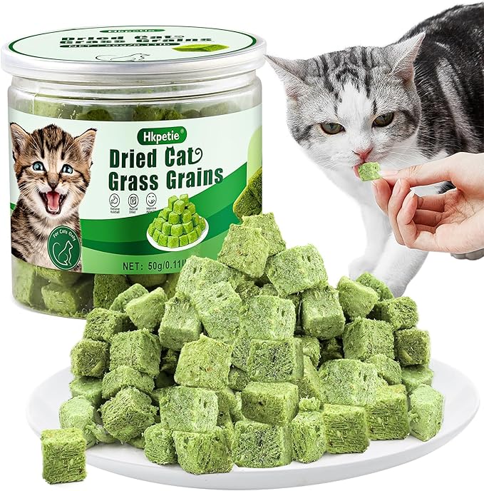 50g Cat Grass Teething Treat, Delicious Cat Grass Teething Snack Edible Cats Chew Toy for Teeth Cleaning and Hairball Removal-PawvioPets