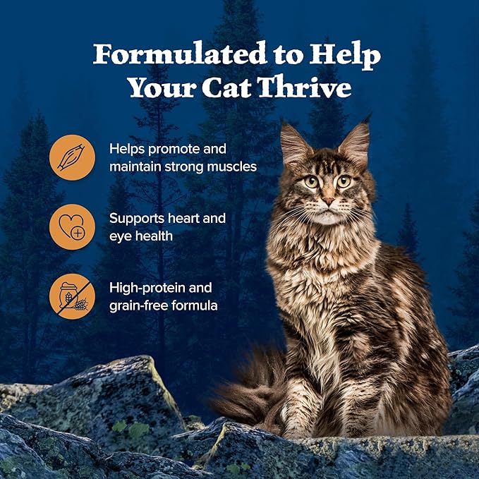 Blue Buffalo Wilderness Wild Delights Minced Natural Wet Cat Food, Chicken & Turkey in Tasty Gravy, 5.5-oz. Cans, 24-Pack-PawvioPets