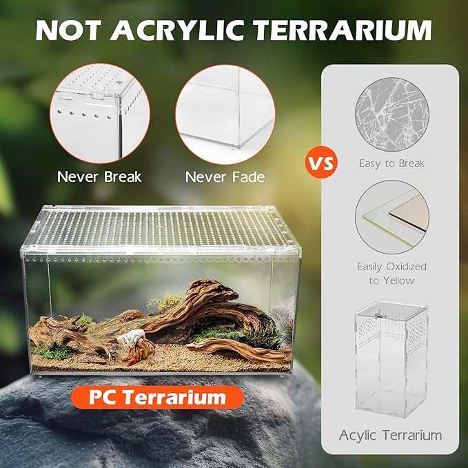 AZV Reptile Terrarium Tank,Versatile Enclosure for Leopard Crested Gecko,Lizard Cage,Spider Starter Kit,Hermit Crab Habitat,Tarantula Cribs,Perfect Aquarium for Snake,Frogs,Snails,Insects,Small Pets-PawvioPets