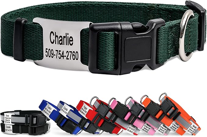 GoTags Personalized Dog Collar with Nameplate, Adjustable Dog Collar with Custom Engraved Slide On Pet ID Tag in Stainless Steel, Silent, No Noise Dog Tag (Hunter Green, Small)-PawvioPets