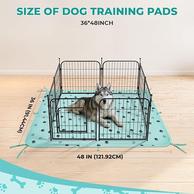 Fostanfly Washable Pee Pads for Dogs, 2 Pack Large 36"x48" Ultra-Absorbent and Leak-Proof Non-Slip Reusable Potty Training Pads for Dogs, Cats, Puppy, Potty of Add 8 Lanyards, Green-PawvioPets