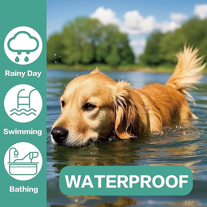 Flea Collar for Dogs, Flea and Tick Prevention for Dogs Collar, Dog Flea and Tick Treatment, 2 Collars, 12 Months Prevention, One Size Fits All-PawvioPets