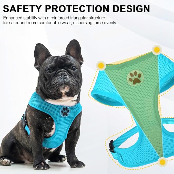 BINGPET No Pull Dog Harness,Soft Mesh Breathable All Weather Vest Harness,Safety Protection Design Durable Adjustable Step-in Easy Walk Dog Harness for Small Medium Large Dogs(RoyalBlue,M)-PawvioPets