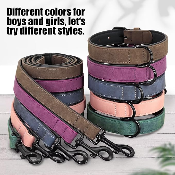 Didog Soft Padded Leather Dog Collar and Leash Set, Adjustable Dog Lead and Collar Set with Metal Buckle, Breathable Pet Collars with 4FT PU Leather Leash for Small Medium Dogs, Green, M-PawvioPets