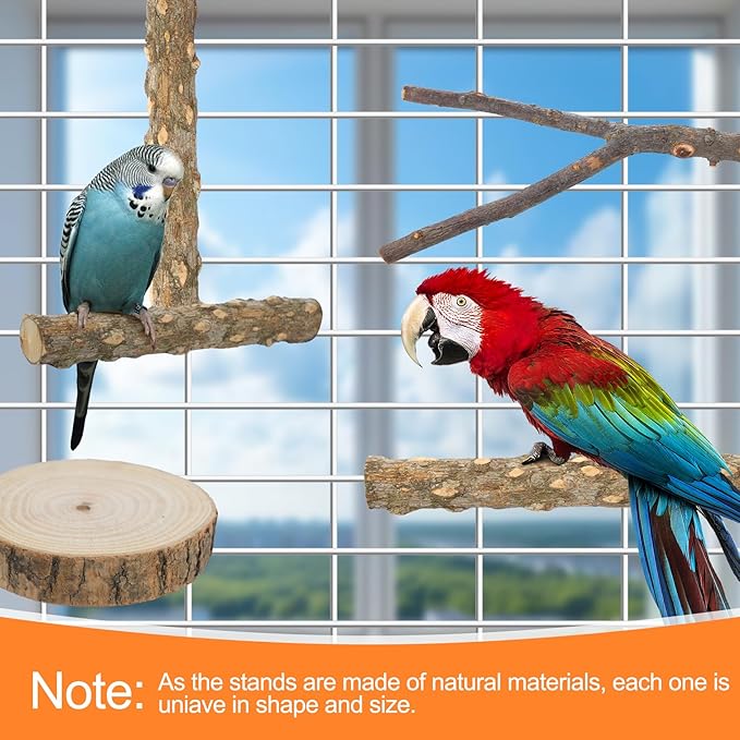 Bird Perch Stand, Pole Standing Natural Wood Bird Perch Set 7PCS Paw Grinding Fork Parrot Cage Branch with Rope Cage Accessories Toys for Parakeets, Cockatiels, Conure, Budgies-PawvioPets