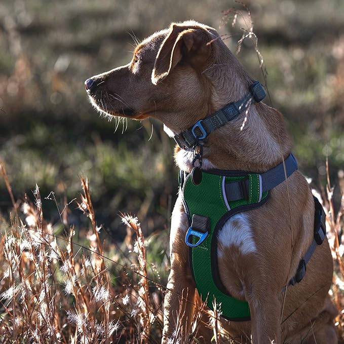 Embark Adventure Dog Harness, Reflective Trim No Pull Dog Harnesses for Small Sized Dogs - Military Grade Nylon, Front Clip with Gel Lined Handle.-PawvioPets