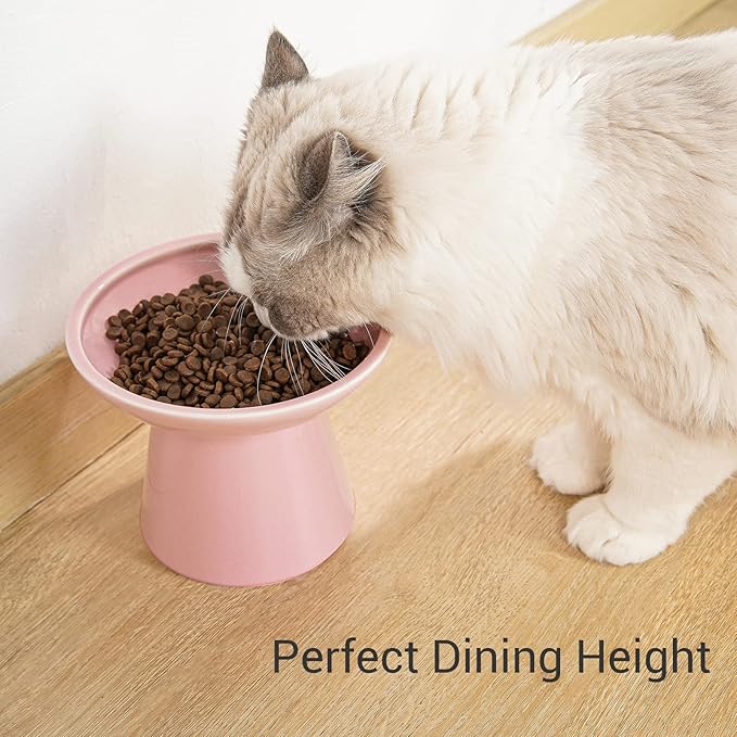 Extra Wide Elevated Ceramic Cat Food Bowl - 6.2" Shallow Dish for Whisker Fatigue Relief, 5" Height for Easy Feeding, Lead & Cadmium Free, Durable Raised Cat Food Bowls, Pink-PawvioPets