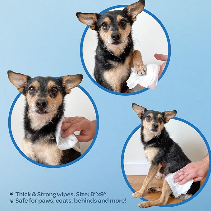 Best Pet Supplies Pet Wipes for Dogs - Dog Wipes Cleaning Deodorizing, Grooming, for Coats, Ears, Paws - Moisturizing Coconut, 400 Count-PawvioPets