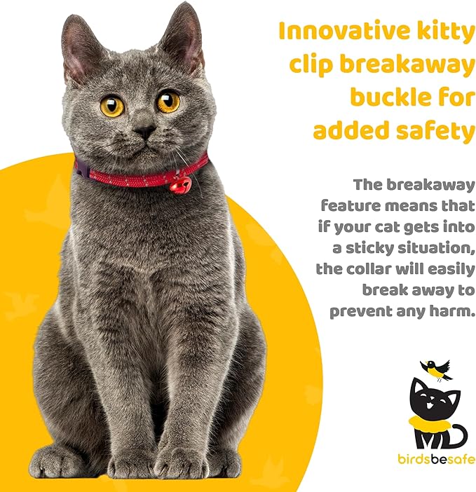 BirdsBeSafe® Break Away Cat Collar with Bell, Reflective Thread for Night Visibility, Comfortable Elastic Stretch Cat Collar to Protect Cat from Getting Stuck in The Garden.-PawvioPets