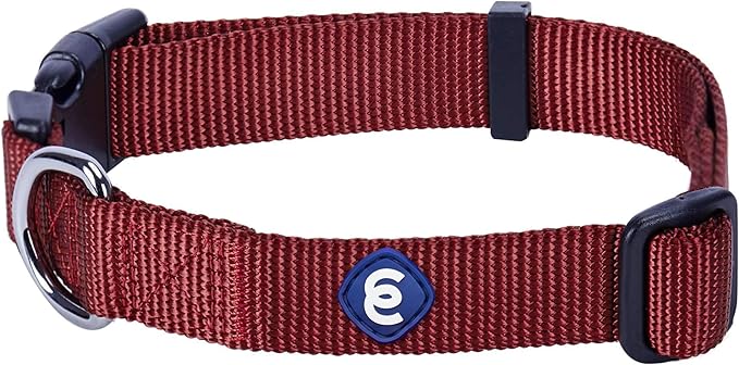 Blueberry Pet Essentials Small Dog Collar | Fired Brick Nylon Dog Collar with Quick Release | Girl & Female Dog Collars for Fall-PawvioPets