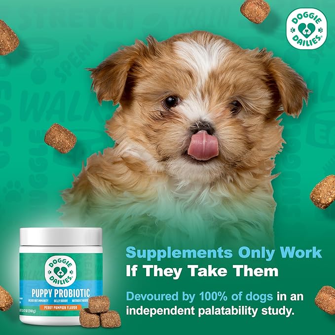 Doggie Dailies Puppy Probiotic, Probiotics for Puppies with Digestive Enzymes, Promotes Digestive Health, Supports Immune System & Overall Development (Pumpkin) 120 Soft Chews-PawvioPets