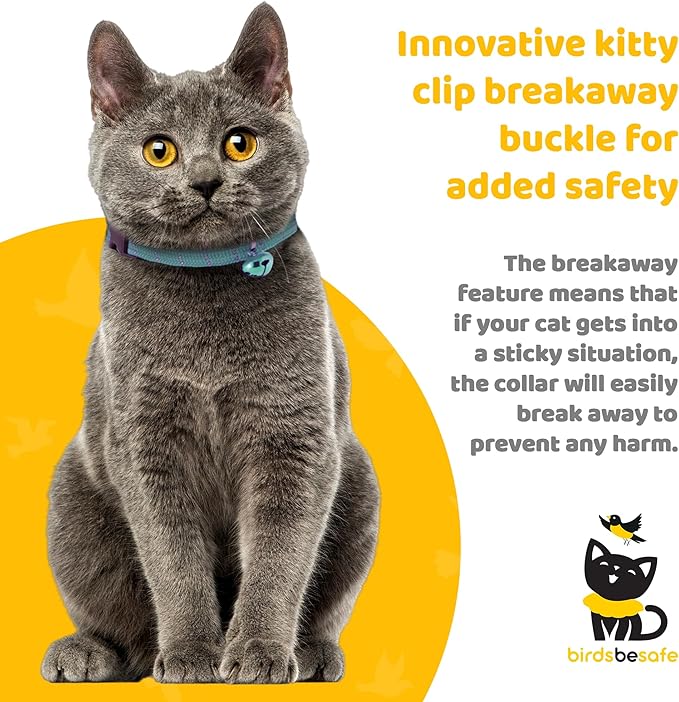 BirdsBeSafe® Break Away Cat Collar with Bell, Reflective Thread for Night Visibility, Comfortable Elastic Stretch Cat Collar to Protect Cat from Getting Stuck in The Garden.-PawvioPets