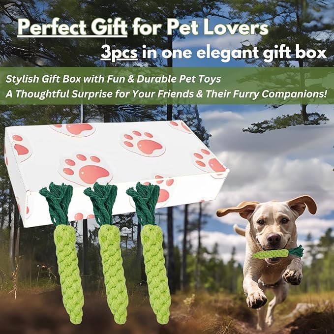 3PCS Green Woven Pet Chew Set, Dog Chew Accessories, Cat Interactive Chews, Safe & Durable Braided Chews for Dogs, Cats & More Pets-PawvioPets