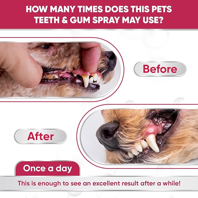 Dental Spray for Pets – Cat & Dog Breath Freshener That Helps with Tartar, Plaque, & Bad Odor – Silver 50 PPM + Valerian Flavour for Dog Teeth Cleaning – 4 Oz-PawvioPets