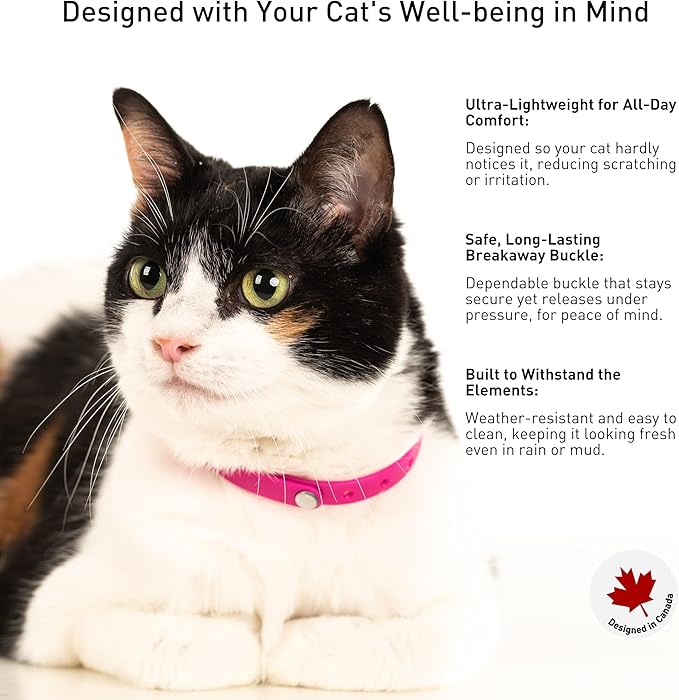 Breakaway Cat Collar - Soft, Comfortable, and Lightweight Safety Buckle Collar with Name Tag Ring for Outdoor Cats and Sensitive Skin Kittens by Nuvuq (6 ⅞" to 10 ¼", Pink)-PawvioPets