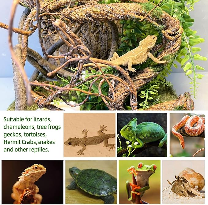 BNOSDM Reptile Vines, Bendable Jungle Climbing Vine with Moss,Terrarium Plants Decor,Artificial Plants Tank Decorations Accessories for Bearded Dragons Chameleons Snakes Lizards Hermit Crabs-PawvioPets