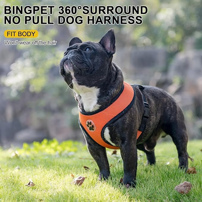 BINGPET No Pull Dog Harness,Soft Mesh Breathable All Weather Vest Harness,Safety Protection Design Durable Adjustable Step-in Easy Walk Dog Harness for Small Medium Large Dogs(Orange,XL)-PawvioPets