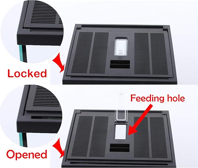 crapelles Black Small Vertical Insect GlassTerrarium, 7.8x7.8x10.8'' Reptile Tank, for Tarantula Larvae Caterpillar Frog Snail Spider Hermit Crab Habitat Container House Cricket Breeding Box-PawvioPets