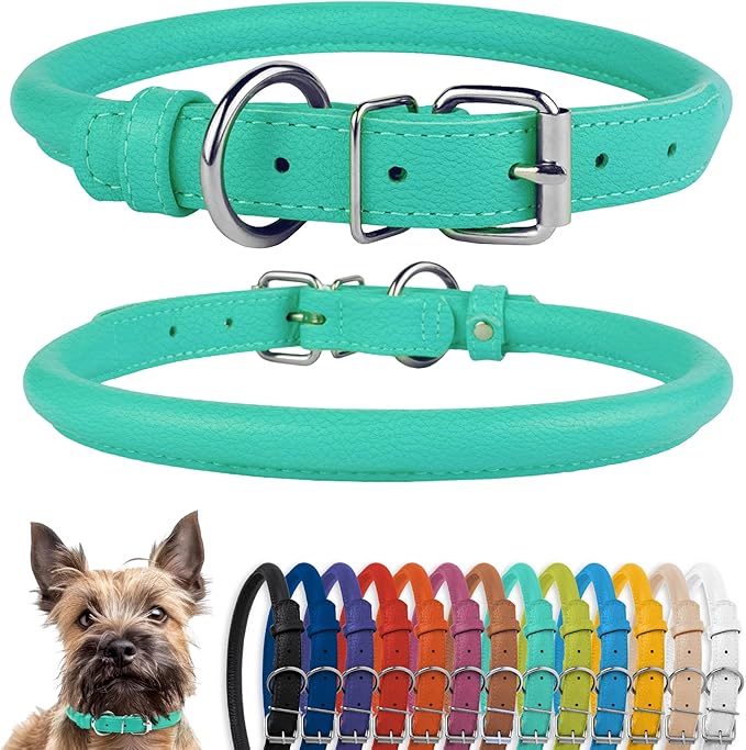 CollarDirect Rolled Leather Dog Collar, Soft Padded Round Puppy Collar, Handmade Genuine Leather Collar Dog Small Large Cat Collars 13 Colors (6-7 Inch, Mint Green Textured)-PawvioPets