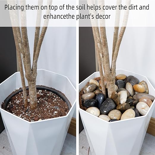 18LB 1"-2" Decorative River Rocks for Plants, Polished Pebbles for Garden Landscaping, Planters, Aquariums, Vase Fillers – Indoor & Outdoor Decor-PawvioPets