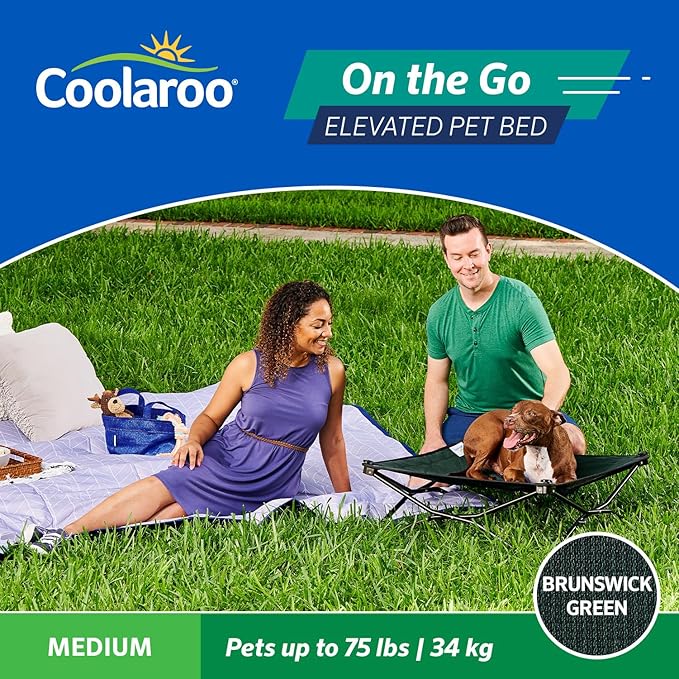 Coolaroo On-The-Go Elevated Dog Bed - Foldable Pop-Up Travel Dog Bed with Breathable, Moisture-Resistant Fabric, Carry Bag Included, Lightweight & Portable, Brunswick Green, Medium-PawvioPets