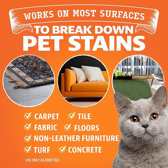 ANGRY ORANGE Cat Urine Odor Eliminator & Stain Remover, Pet-Friendly Deodorizer-PawvioPets