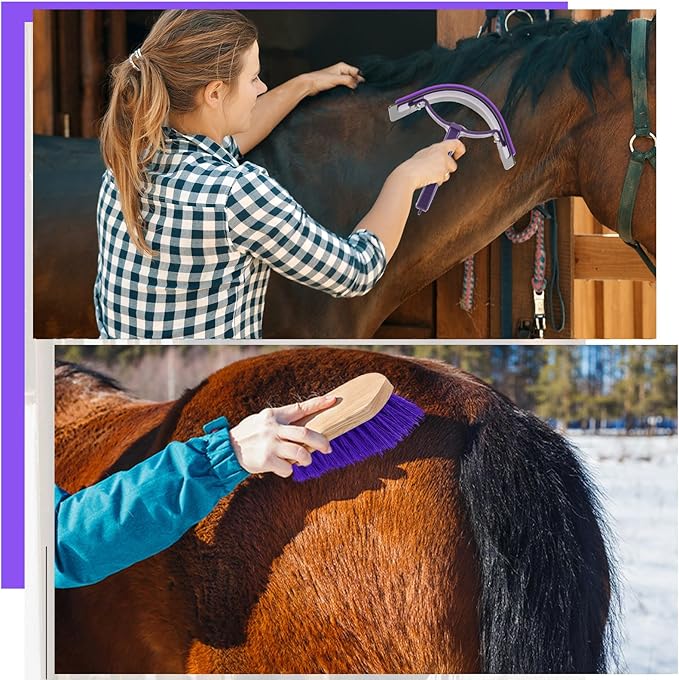 Abbylike 12 Pieces Horse Grooming Kit Racing Festival Tack Room Supplies Horse Brush Sets Equine Care Cleaning Kit Shedding Grooming Massaging Tools(Gray and Purple)-PawvioPets