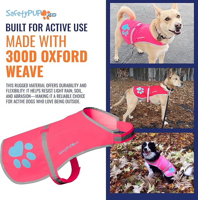 Dog Reflective Vest – Hi-Vis Fluorescent Visibility That Helps to Safeguard Your Pet On/Off Leash in Urban & Rural Areas (Pink, X-Large)-PawvioPets