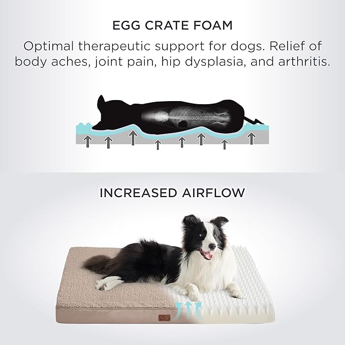 Bedsure Dog Beds Large Sized Dog - Orthopedic Flat Pet Beds with Removable Washable Cover, Egg Crate Foam Puppy Mat, Suitable for Pet Up to 65 lbs-PawvioPets