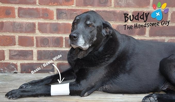 Basic Leg Bandages for Dogs, Cats and Other Pets First Aid Non-Adhesive Fur Friendly - Value 10 Pack (5 Standard, 5 Wide) by PawFlex (XX-Small)-PawvioPets