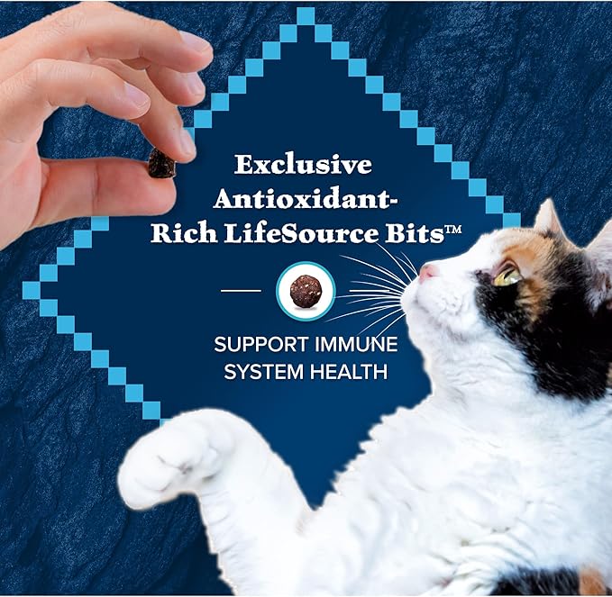 Blue Buffalo Wilderness Natural High Protein, Grain Free Dry Food for Adult Cats, Salmon, 11-lb Bag-PawvioPets