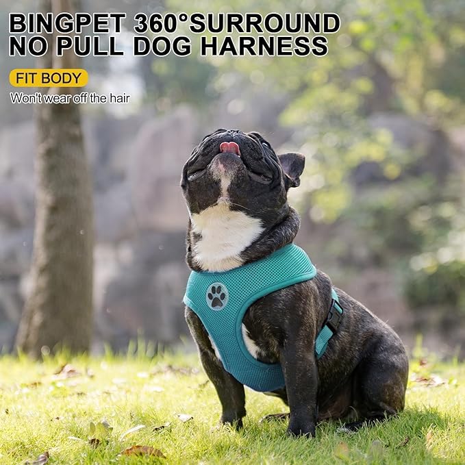 BINGPET Small Dog Harness - Breathable Mesh Puppy Cat Harnesses - No Pull Adjustable Dog Harness Dog Vest Harness for Small and Medium Dogs-PawvioPets