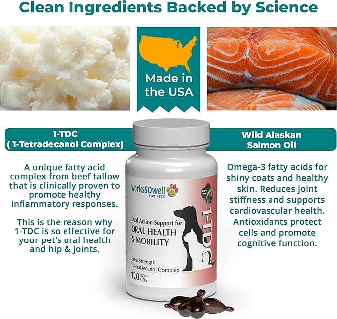 1TDC WorksSoWell Dual Action Joint Supplement for Dogs & Cats - Hip and Joint Supplement for Large Breed & Small Breed - Also Great for Oral Health - Muscle & Stamina Recovery & Arthritis - 120ct-PawvioPets