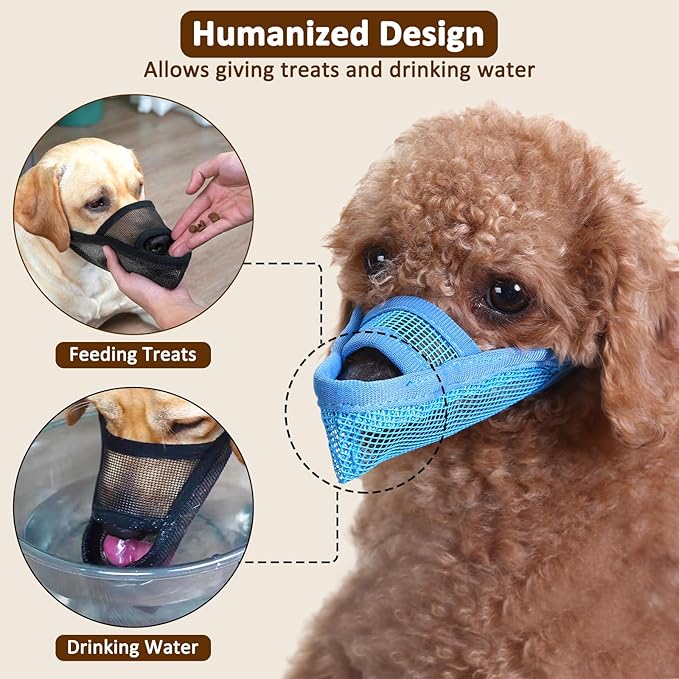 Crazy Felix Nylon Dog Muzzle for Small Medium Large Dogs Poodle Labrador Golden Retriever Doberman, Air Mesh Breathable and Drinkable Pet Mouth Guard for Anti-Biting Chewing Scavenging(XL, Blue)-PawvioPets