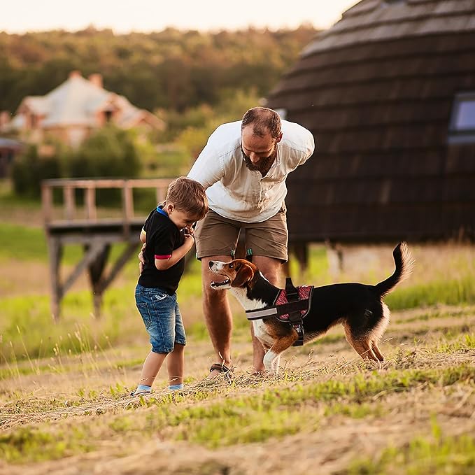 Dogline Dog Harness, Reflective No-Pull Adjustable Vest with Handle for Walking, Training, Breathable, No - Choke Harness for Small, Medium or Large Dogs Room for Patches Zebra Black/Red XL 33"-46"-PawvioPets