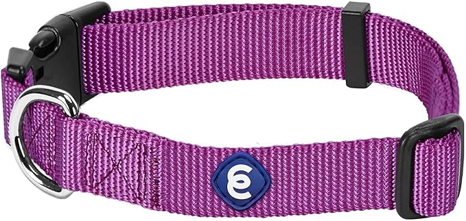 Blueberry Pet Essentials Matching Large Dog Collar | Adjustable Classic Solid Color Nylon Dog Collars for Large Dogs | Violet Dog Collar for Large Dogs-PawvioPets