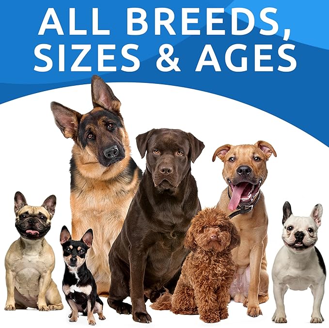 Bark&Spark Dog Probiotics & Digestive Enzymes (Gut Health) Allergy & Itchy Skin - Pet Diarrhea Gas Treatment Upset Stomach Relief, Digestion Health Prebiotic Supplement Large Dog Treats (240Ct Bacon)-PawvioPets