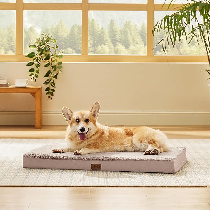 Bedsure Large Dog Bed for Crate - Orthopedic Flat Pet Beds with Removable Washable Cover, Egg Crate Foam Crate Mat, Suitable for Pet Up to 50 lbs-PawvioPets