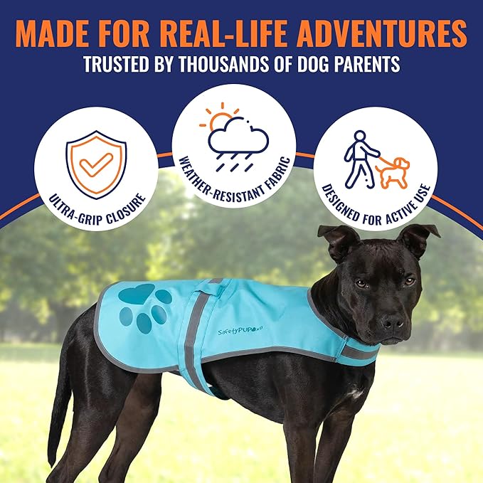 Dog Reflective Vest – Hi-Vis Fluorescent Visibility That Helps to Safeguard Your Pet On/Off Leash in Urban & Rural Areas (Teal, X-Large)-PawvioPets