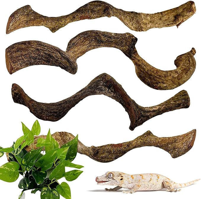 BNOSDM 4Pcs Reptile Climbing Branches Decor,Snake Climbing Branch,Gecko Climb Wood,Lizard Forest Branch,Tank Habitat Tree Trunk Decorations for Bearded Dragons,Chameleons,Spider,Frogs (S)-PawvioPets
