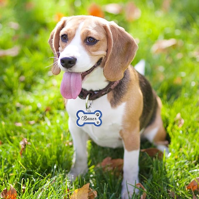 Dog Tags Personalized for Pets Dog Name Tags Personalized Dog Tag Engraved with Any Name & Text Custom Dog ID Tags Glitter Bone ID Tag for Puppy Cat (Silver L, Bone)-PawvioPets