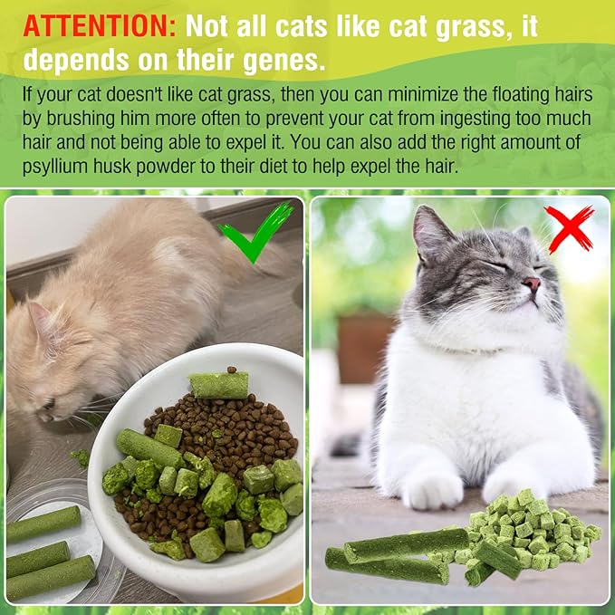 225g Cat Grass Teething Stick, Delicious Cat Treat Snack Edible Cat Chew Toy for Teeth Cleaning and Hairball Removal in Cats-PawvioPets